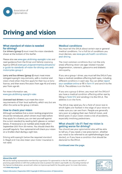 Driving and Vision