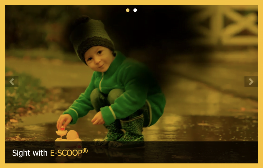 With E-Scoop for AMD