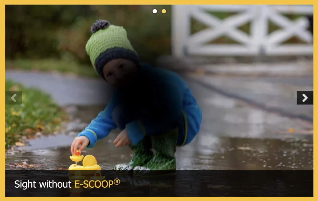 Without E- Scoop (AMD)